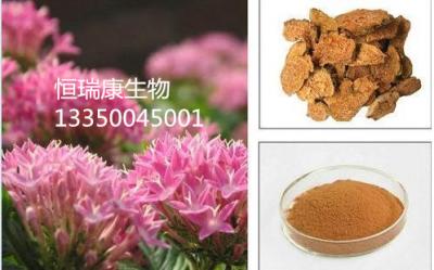 紅景天提取物