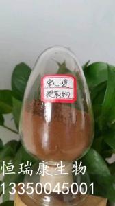 穿心蓮提取物