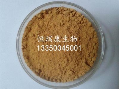 銀杏葉提取物 